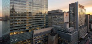 New York University School of Medicine Requirements (New York, NY)