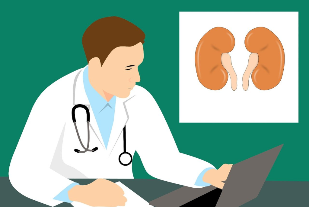 A doctor studying patient notes with a picture of kidneys behind him