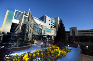 Augusta Medical College of Georgia (Augusta, GA)