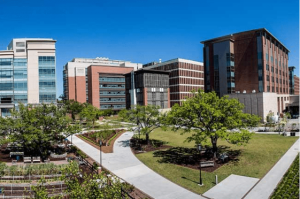 Medical University of South Carolina (Charleston, SC)